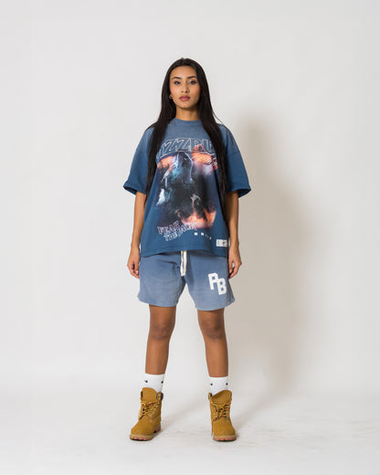 Camiseta Alpha - Vintage blue